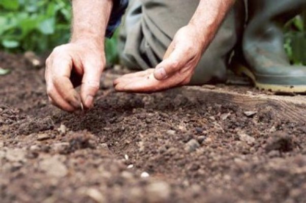 Are opt clase şi singura mină profitabilă din România